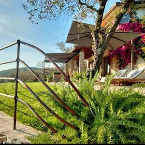 A Casa Di Olivo Villa
